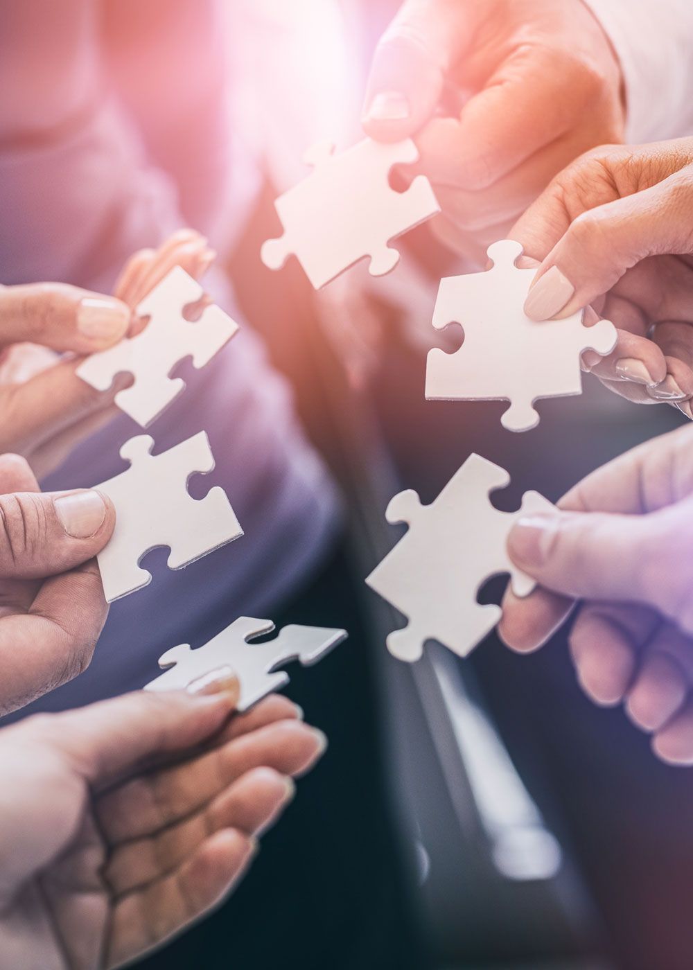 Competitive Jigsaw Strategy